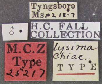 Media type: image;   Entomology 25217 Aspect: labels